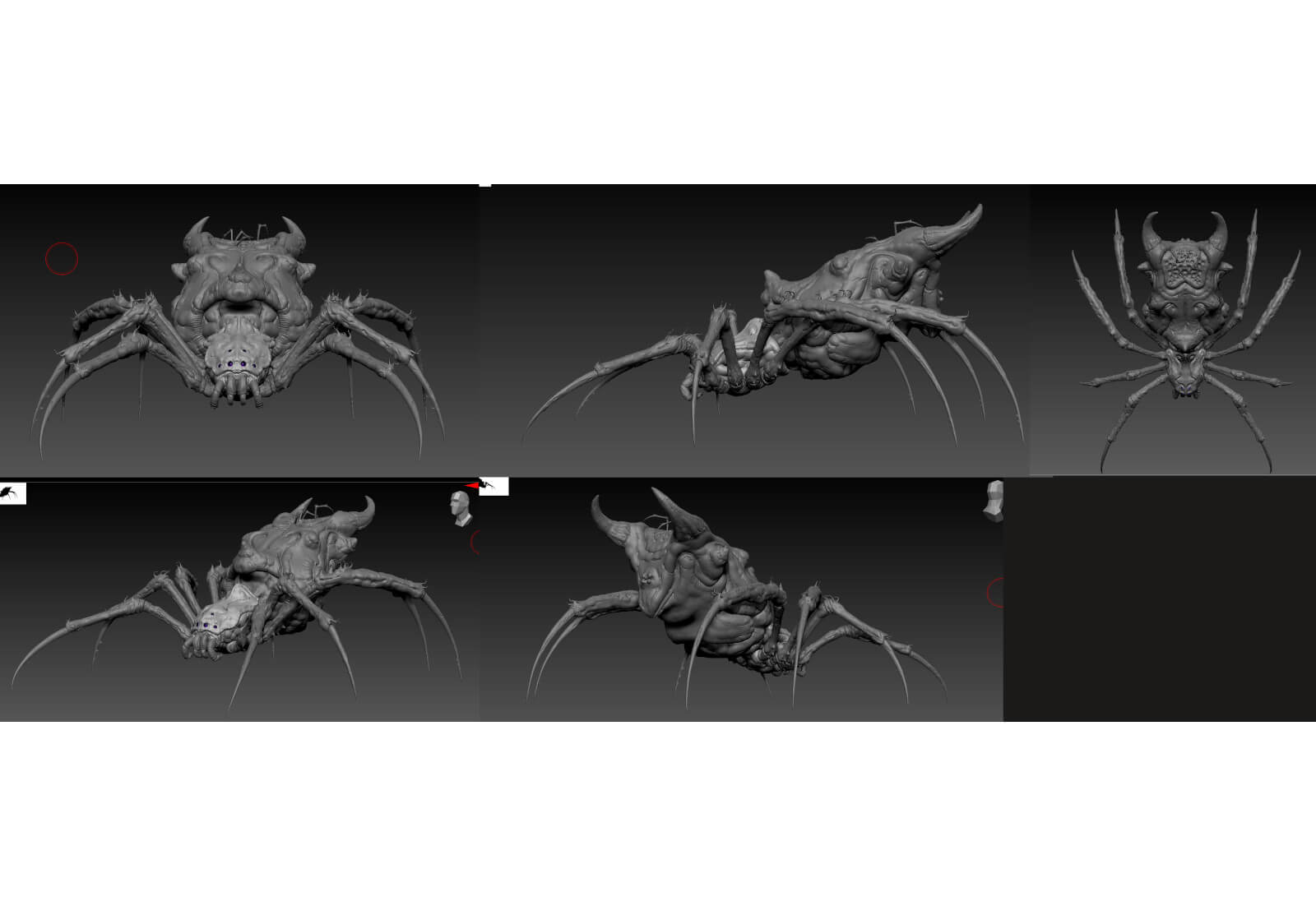 Multiple angles of 3D spider model