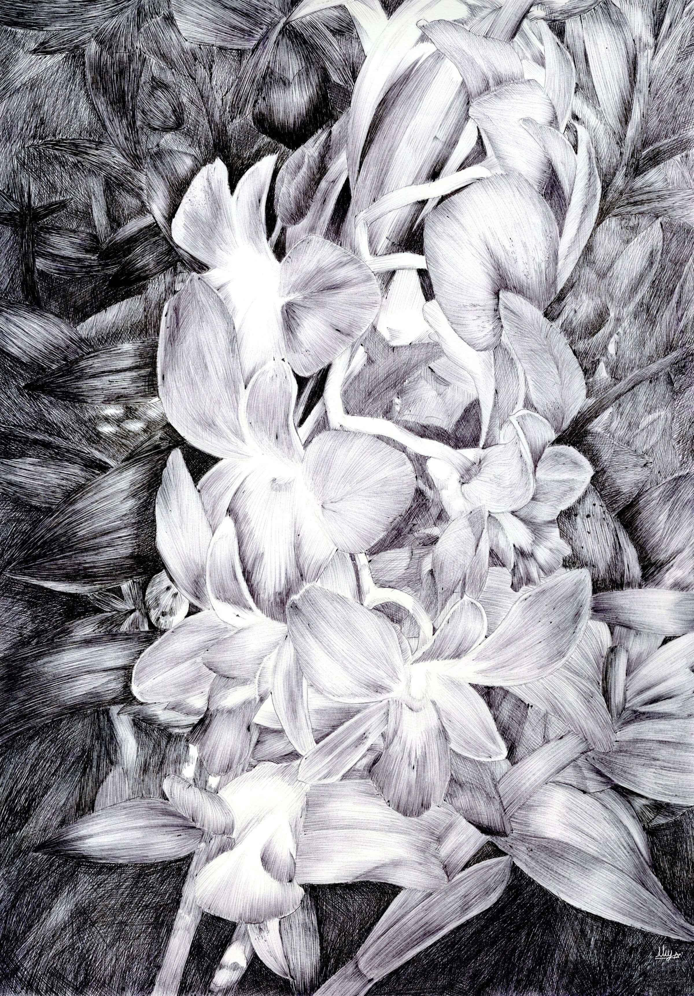 Black-and-white sketch of a garland of flowers.