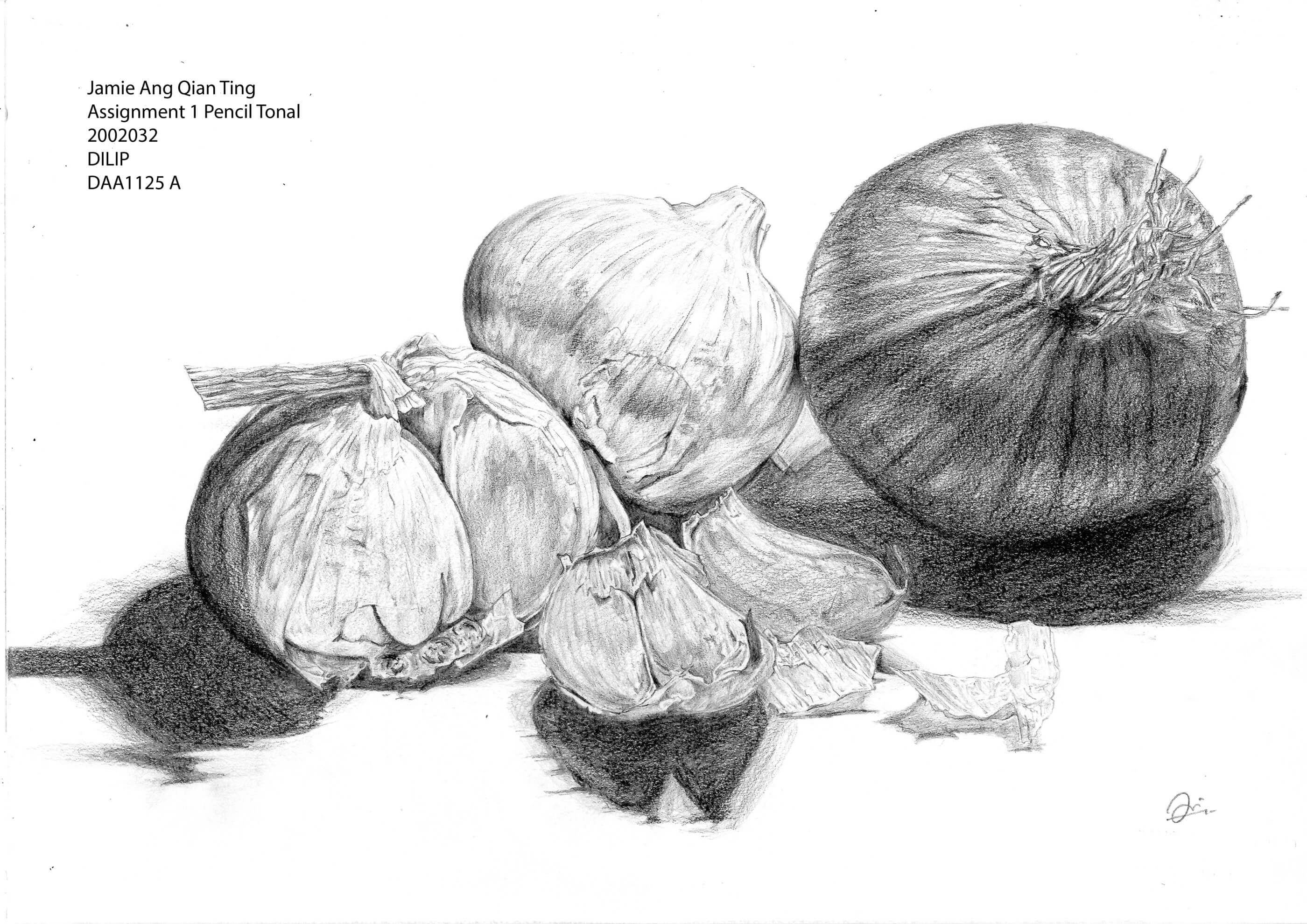 Black-and-White sketch of an onion and two bulbs of garlic.