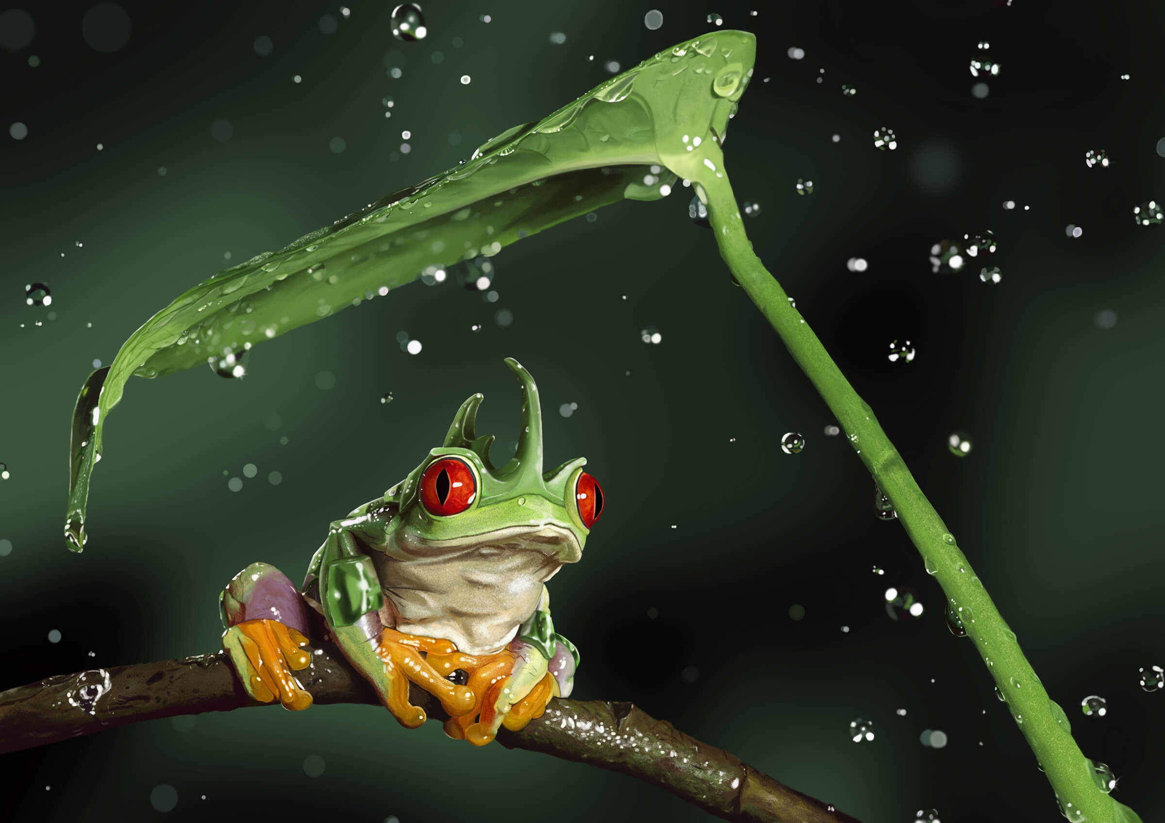 A red-eyed, green-horned tropical frog sits on a branch as a leaf shields it from relatively massive falling raindrops.