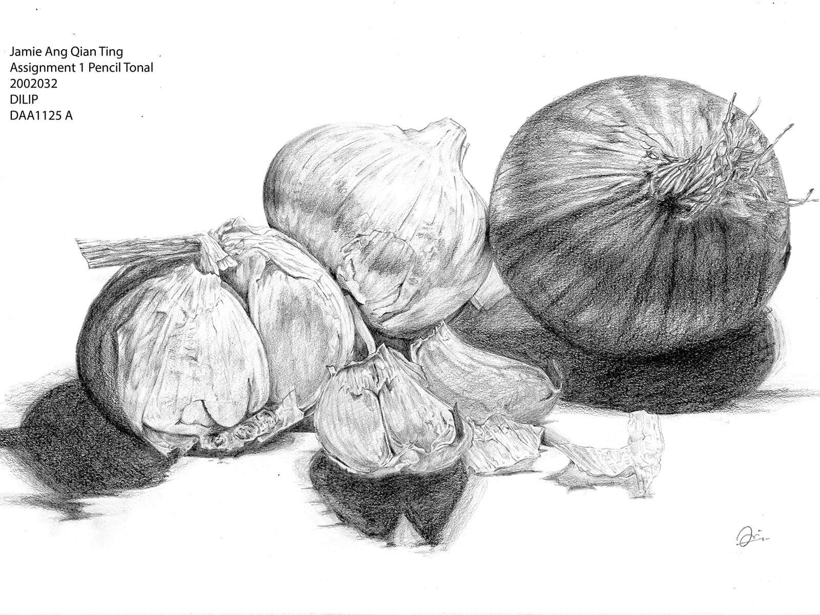 Black-and-White sketch of an onion and two bulbs of garlic.