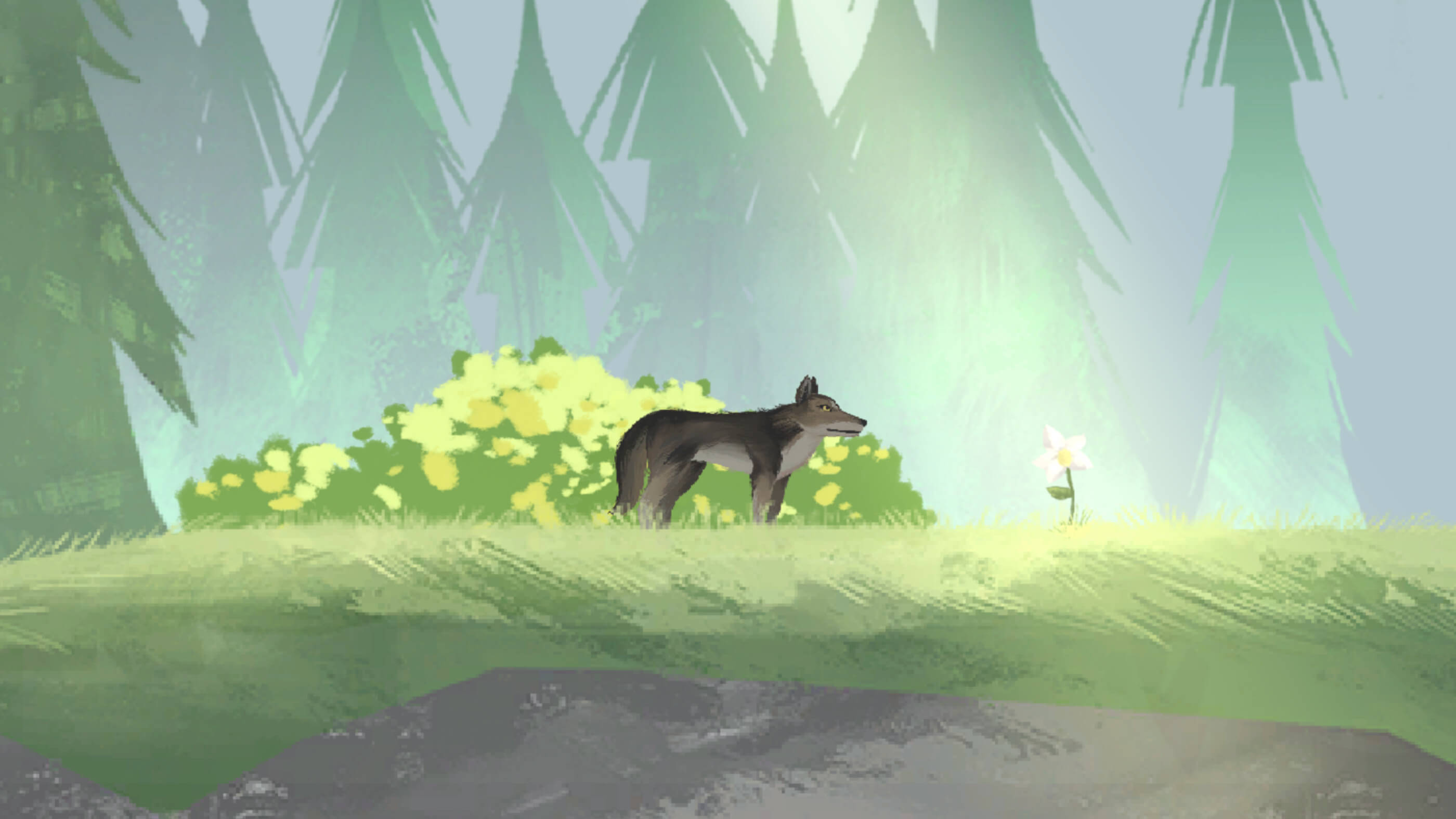 A wolf standing in a green grassy meadow with sunlight shining down