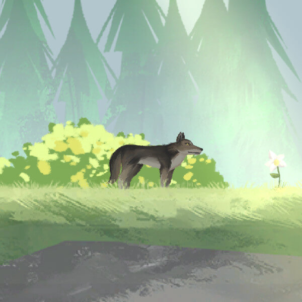 A wolf standing in a green grassy meadow with sunlight shining down