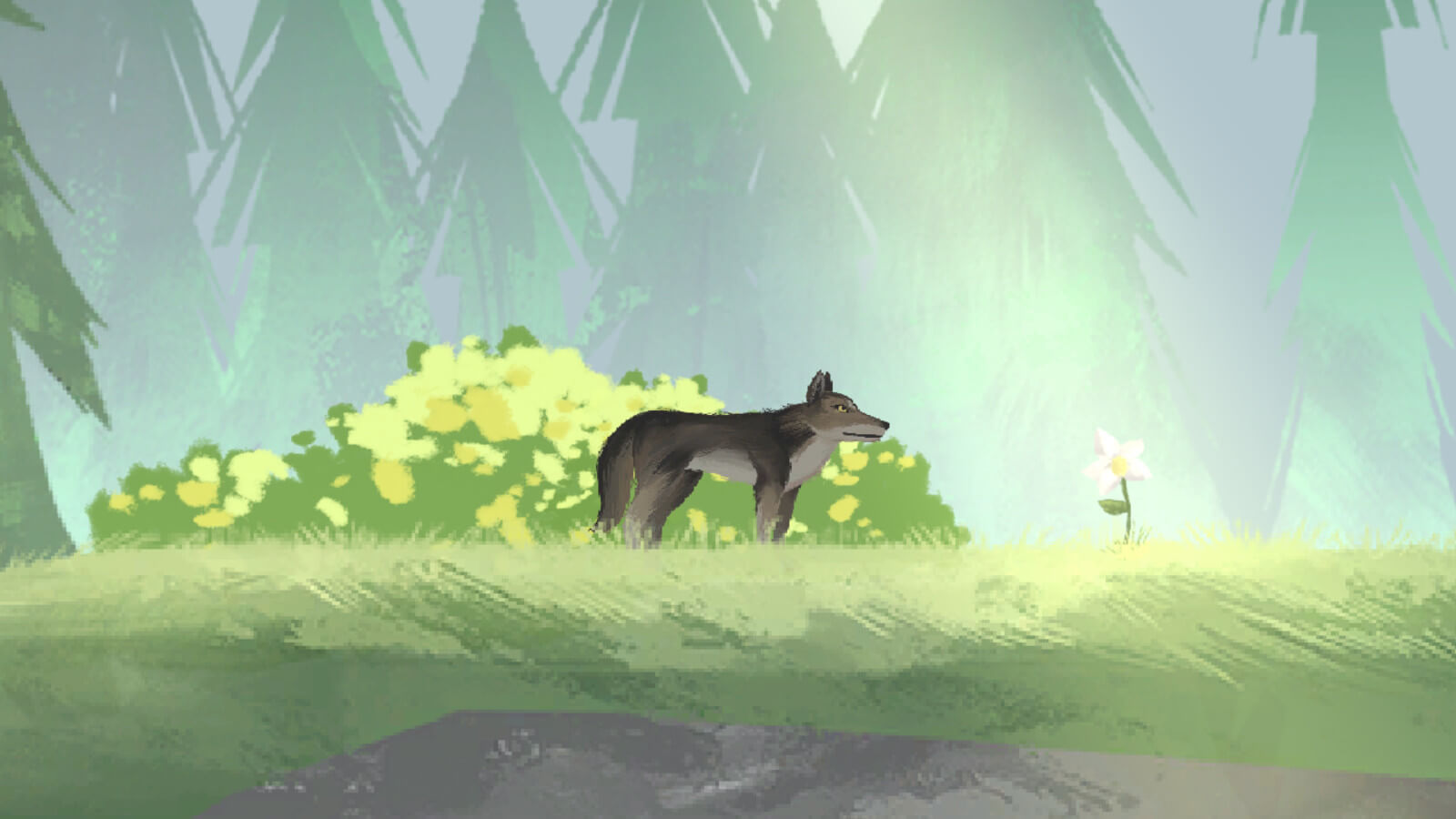 A wolf standing in a green grassy meadow with sunlight shining down