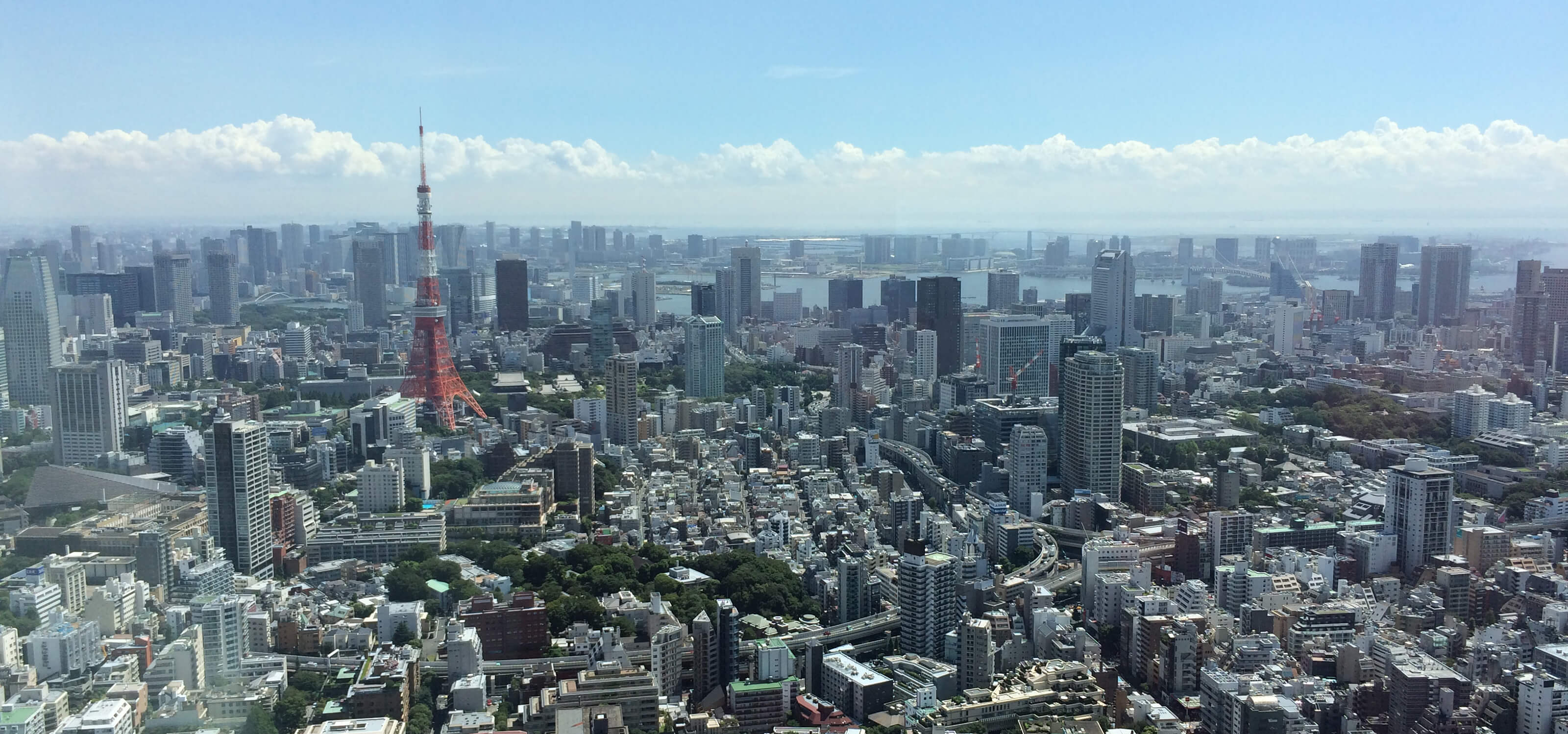 Photograph of the Tokyo skyline taken from a tall building