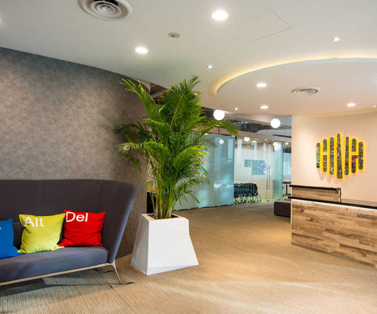 Lobby area with a couch, reception desk, and a small palm frond tree